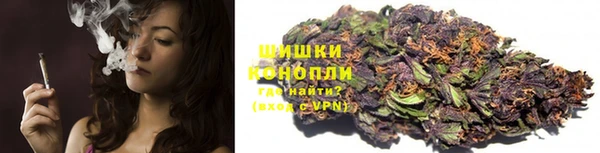 MESCALINE Аркадак