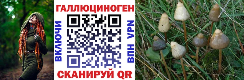 kraken tor Усть-Лабинск Галлюциногенные грибы Psilocybine cubensis